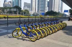 【9分钟教程】抚顺市工厂咨询热线电话_哔哩哔哩